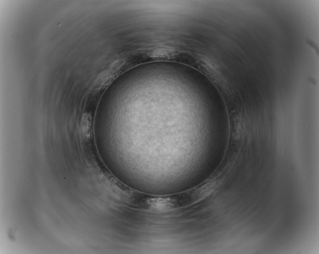 X0000103140273200808221222