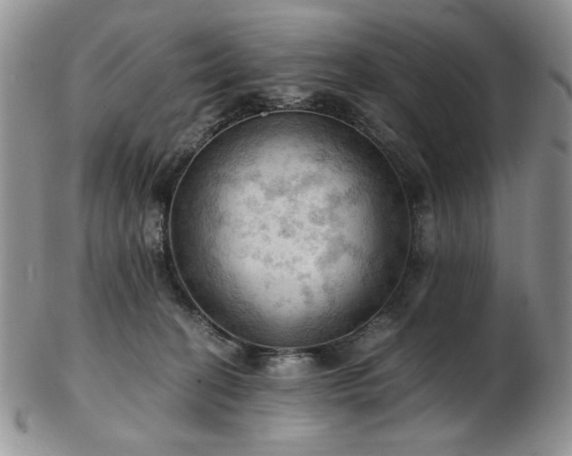 X0000103140274200808221222