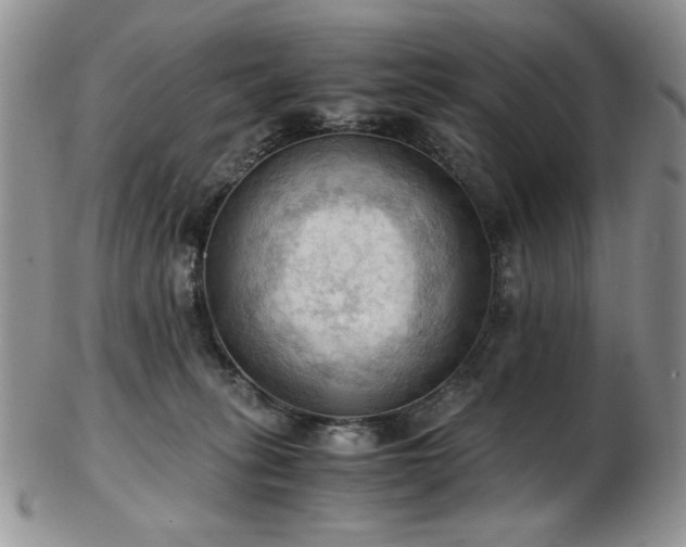 X0000103140275200808221222