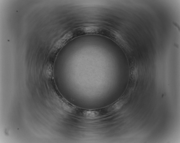 X0000103140277200808221222