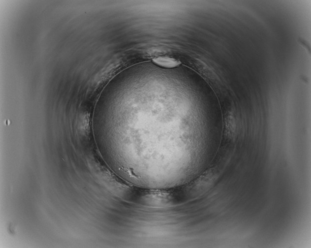 X0000103140278200808221222