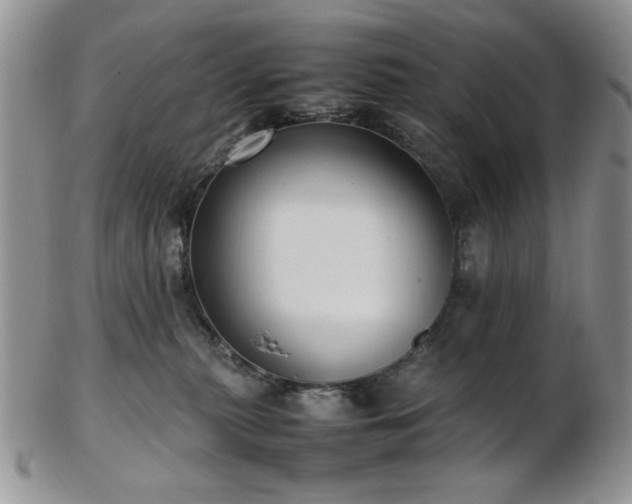 X0000103140279200808221222