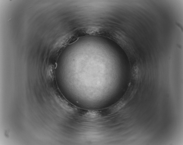 X0000103140280200808221222