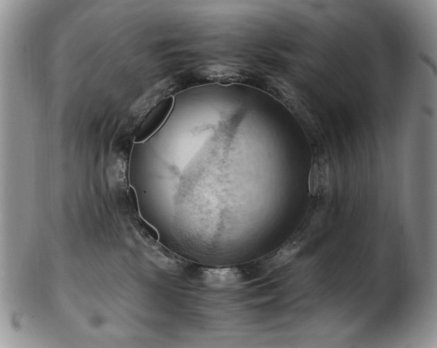 X0000103140281200808221222