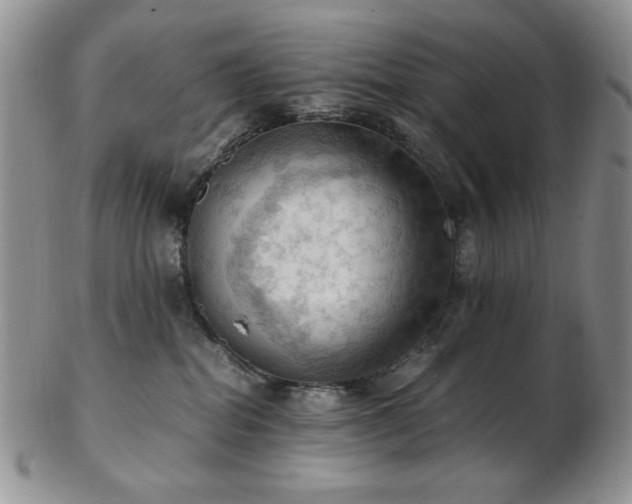 X0000103140282200808221222