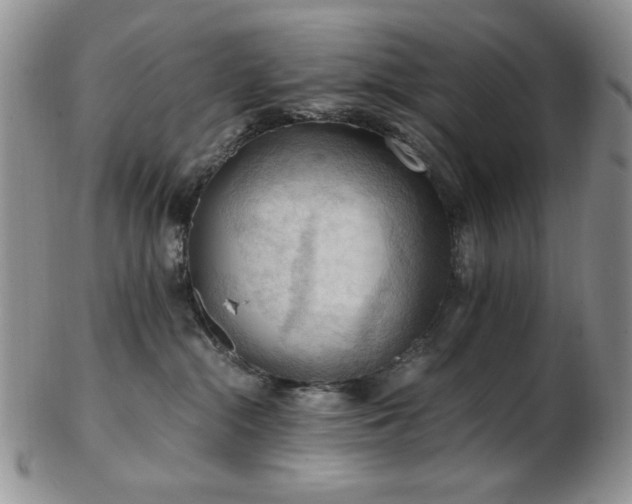 X0000103140284200808221223