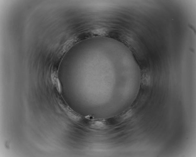 X0000103140285200808221223