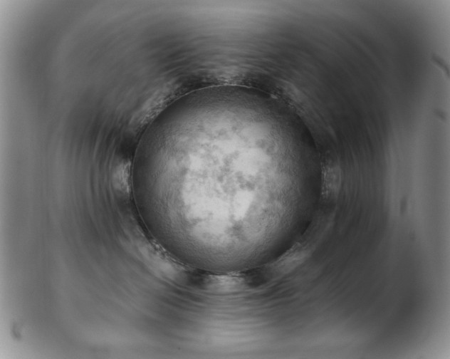 X0000103140286200808221223