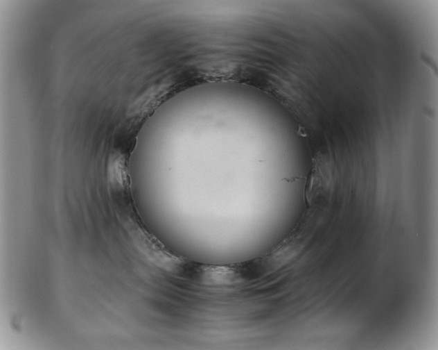 X0000103140287200808221223