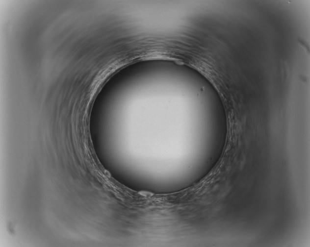 X0000103140289200808221222