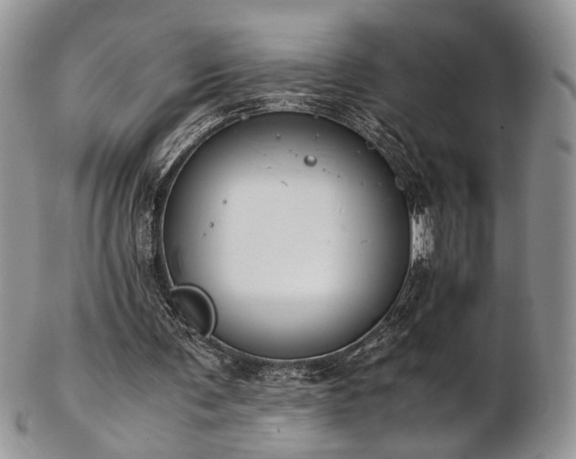 X0000103140291200808221222