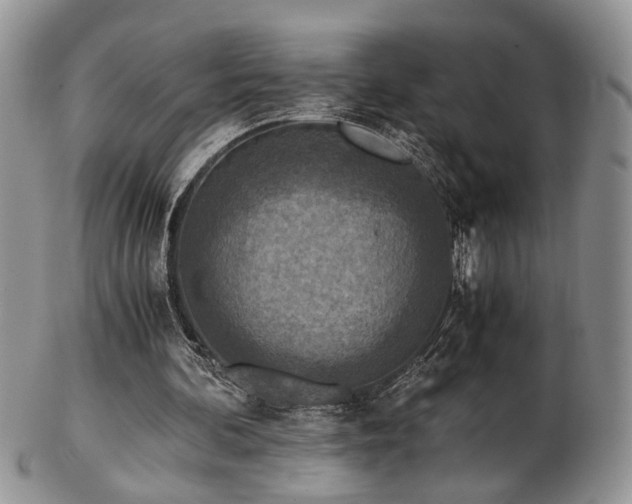 X0000103140292200808221222