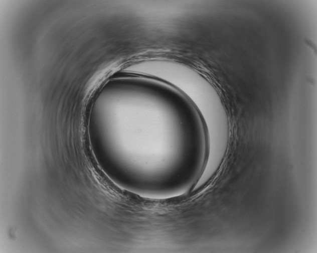 X0000103140293200808221222