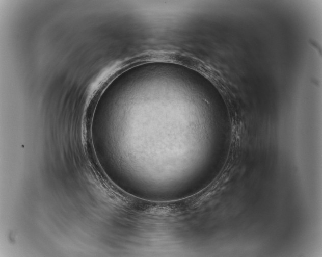 X0000103140294200808221222