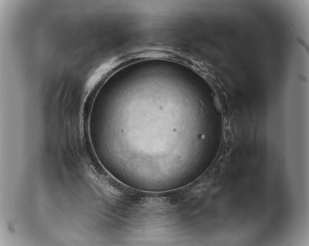 X0000103140296200808221222