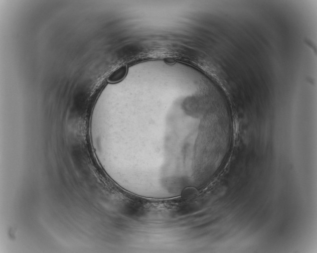 X0000103140297200808221222