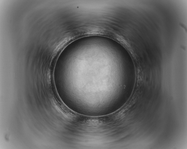 X0000103140298200808221222