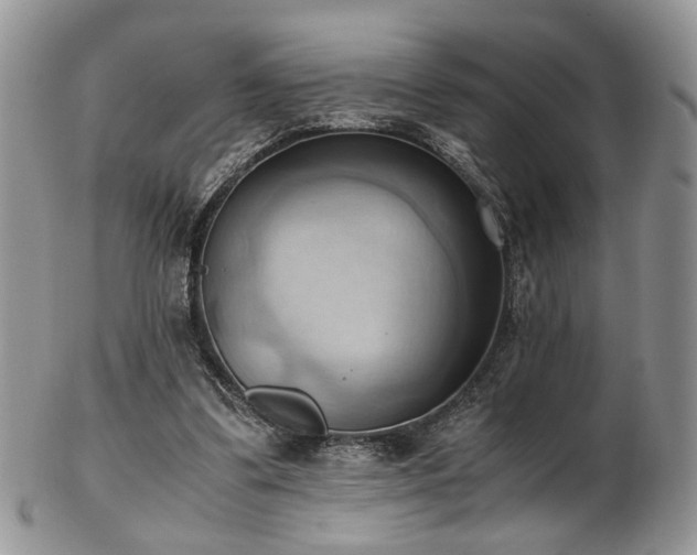 X0000103140299200808221222