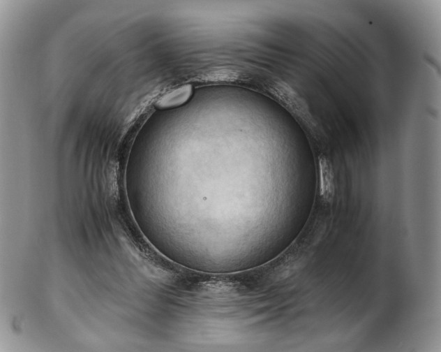 X0000103140300200808221222