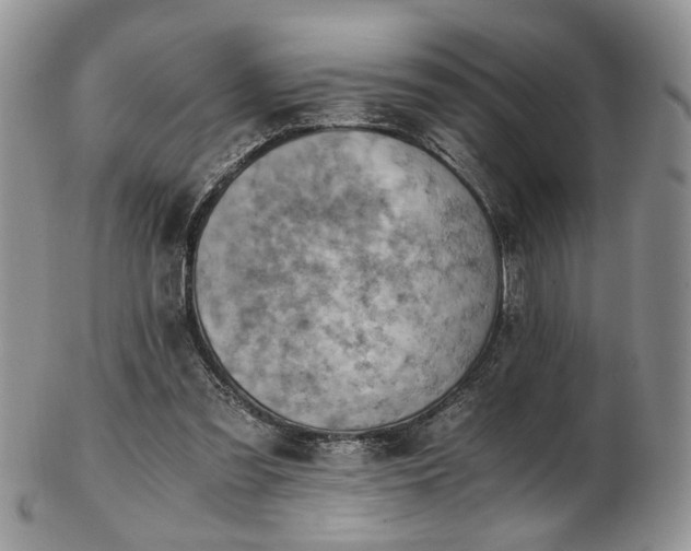 X0000103140301200808221222