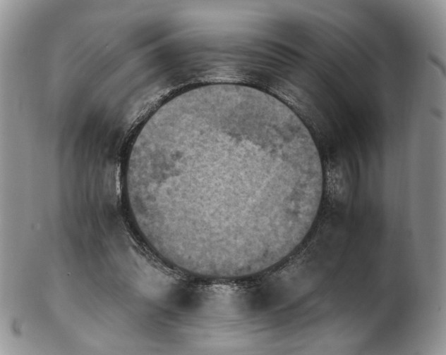 X0000103140302200808221222