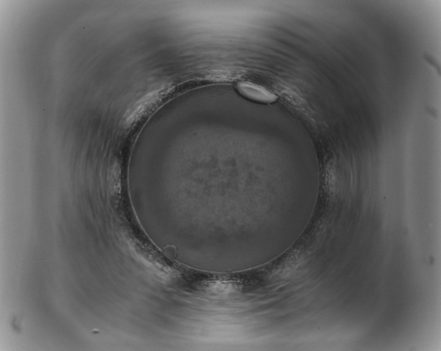 X0000103140303200808221222