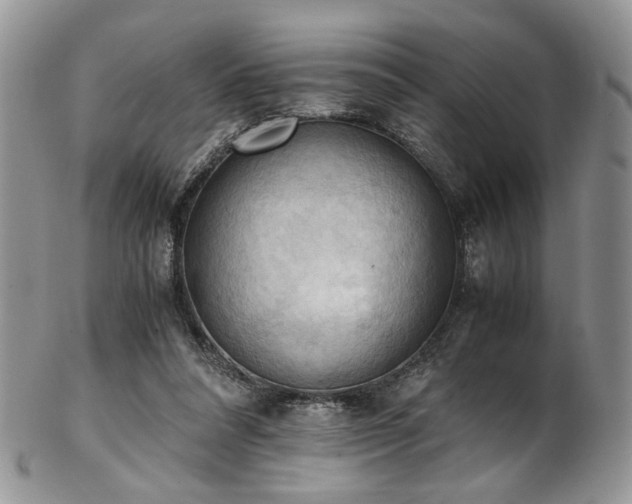 X0000103140304200808221222