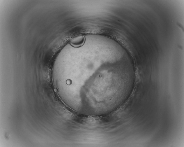 X0000103140305200808221222