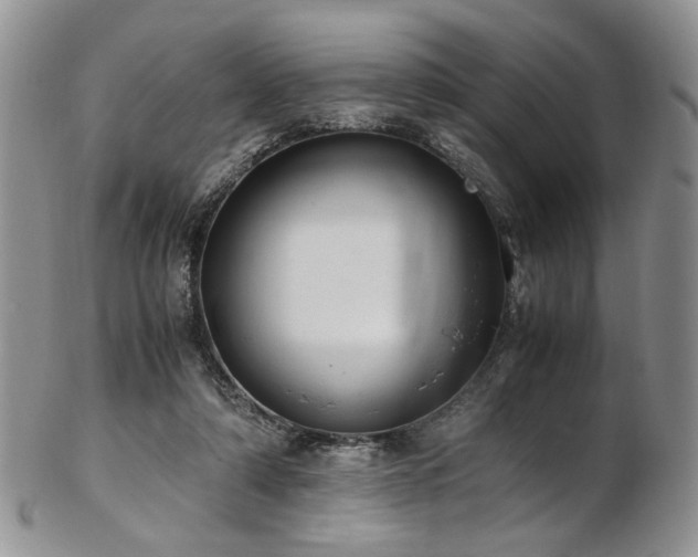 X0000103140306200808221222