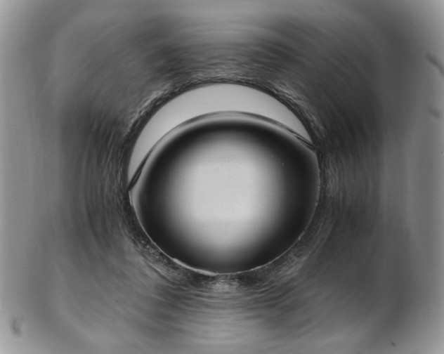 X0000103140308200808221222