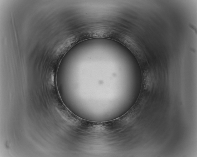 X0000103140310200808221222