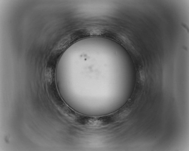 X0000103140311200808221222