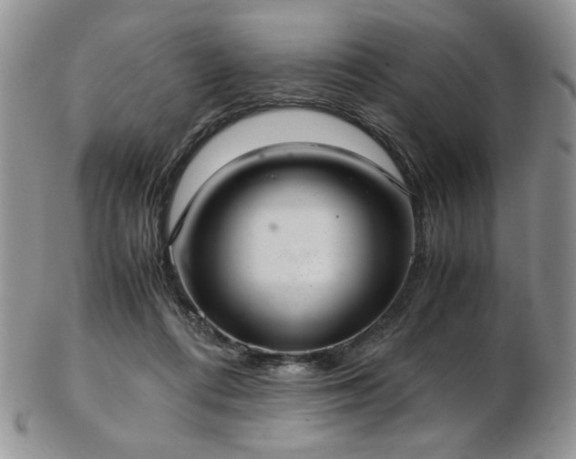 X0000103140312200808221222