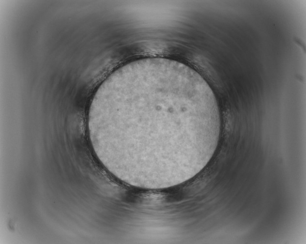 X0000103140313200808221222