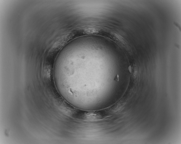 X0000103140315200808221222