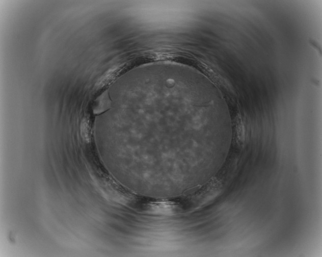 X0000103140316200808221222