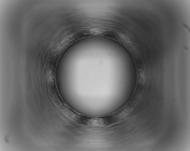 X0000103140317200808221222