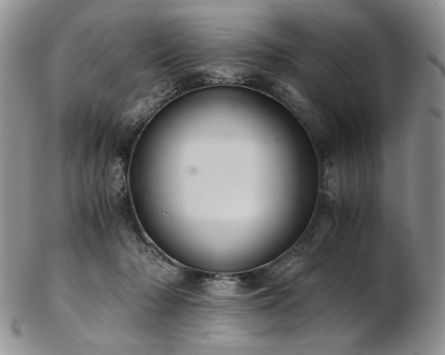 X0000103140318200808221222