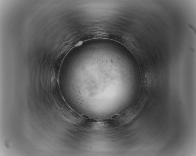 X0000103140320200808221221