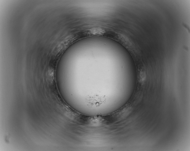 X0000103140321200808221221