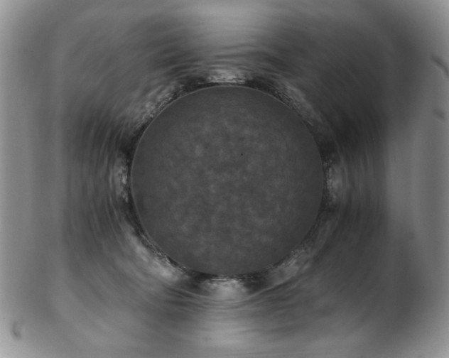 X0000103140322200808221221