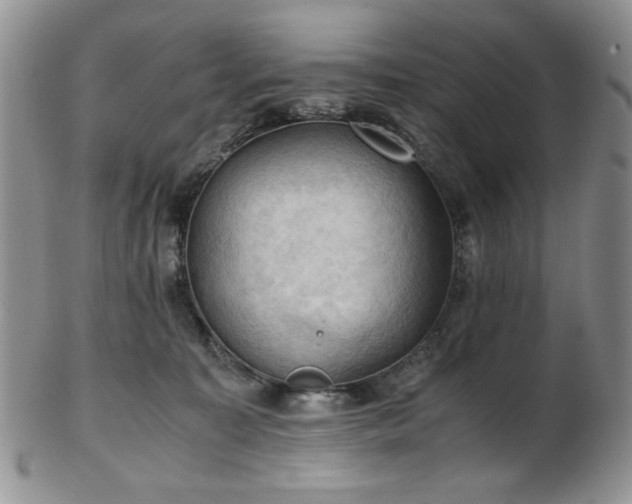 X0000103140323200808221221