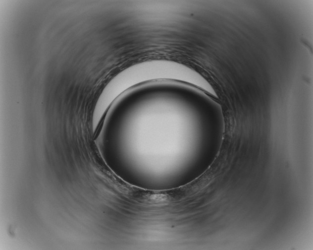 X0000103140324200808221221