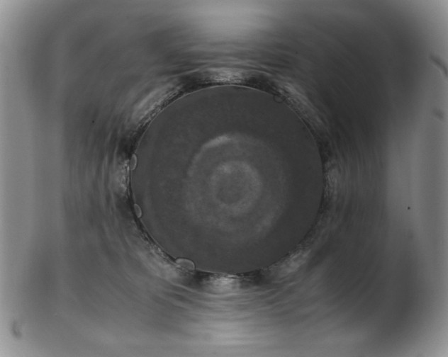 X0000103140325200808221221