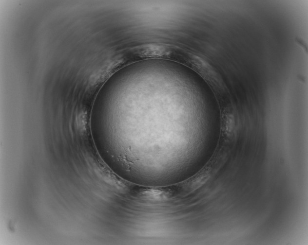 X0000103140326200808221221