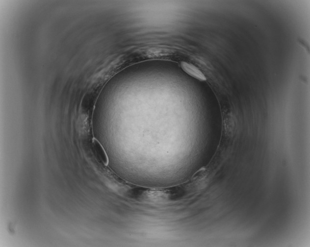 X0000103140327200808221221