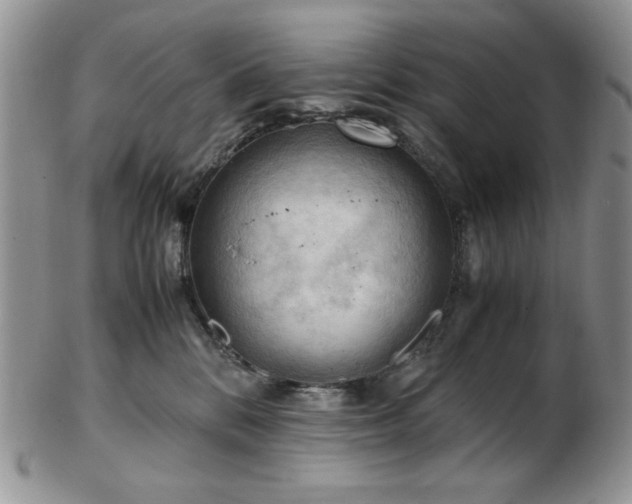 X0000103140328200808221221