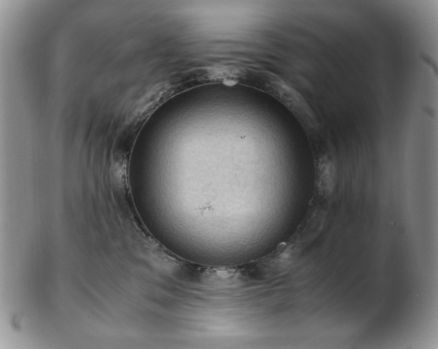 X0000103140329200808221221