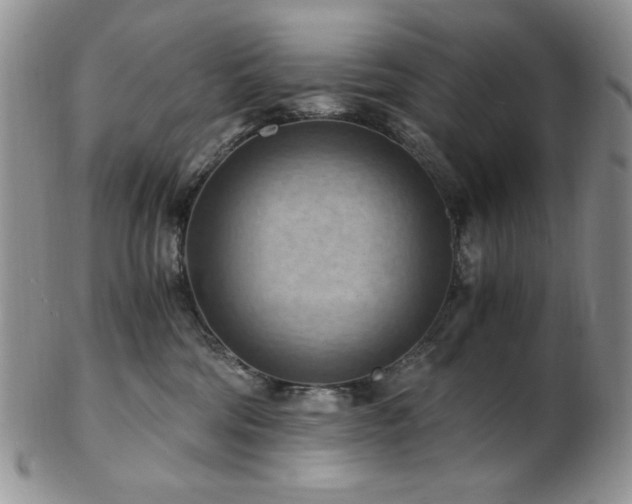 X0000103140330200808221221