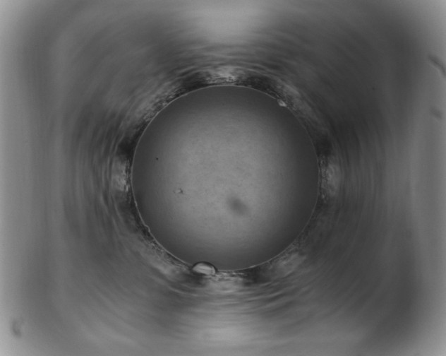 X0000103140331200808221221